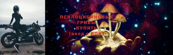 a pvp Алексин