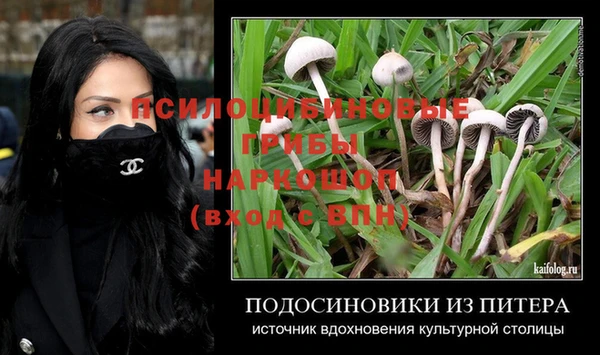 a pvp Алексин