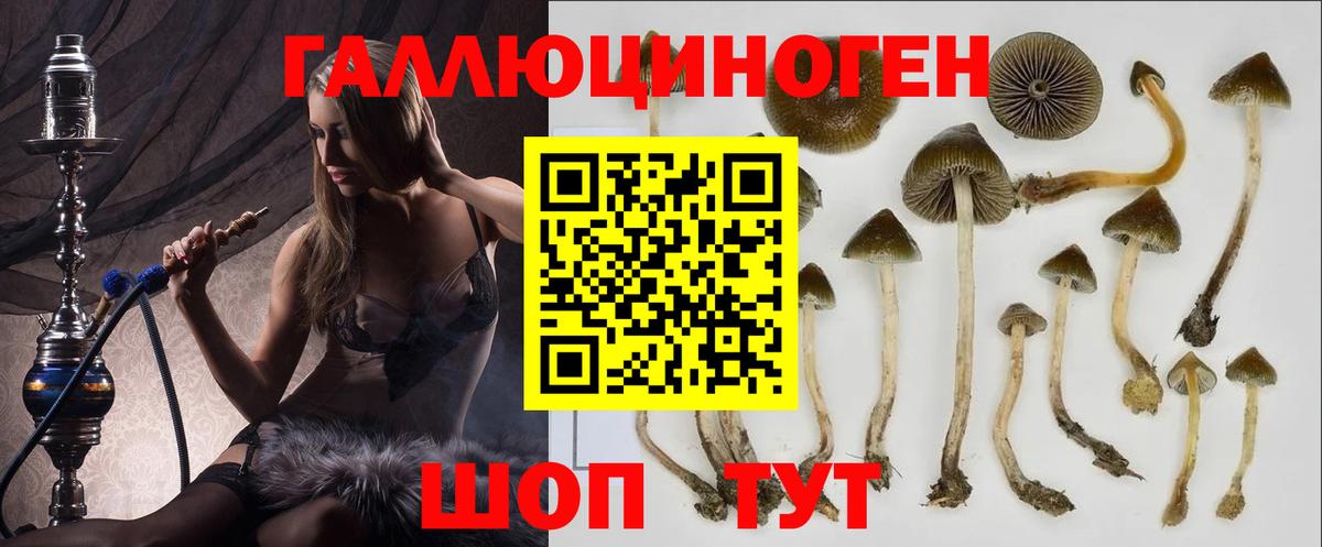 ГАШ  АМФ кристаллы  Ижевск  Мефедрон   ГАШ  КЕТАМИН  COCAIN  Каннабис  Вход с VPN 