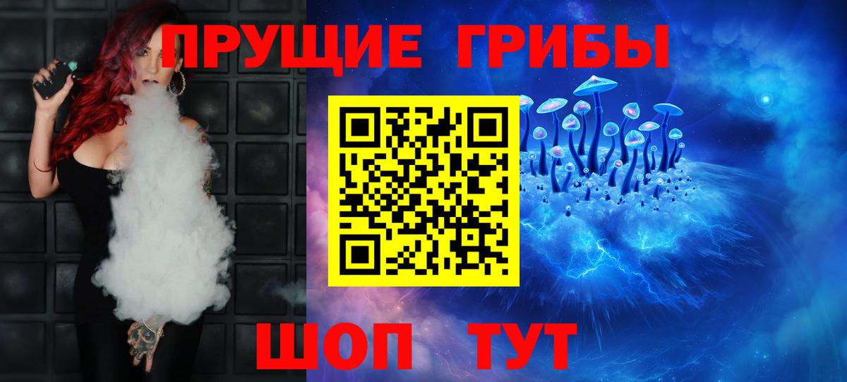 где найти   Галлюциногенные грибы Magic Shrooms  Вход с VPN  Галлюциногенные грибы Magic Shrooms  Ижевск 